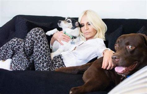 Il cane di Donatella Versace ha una sua capsule collection